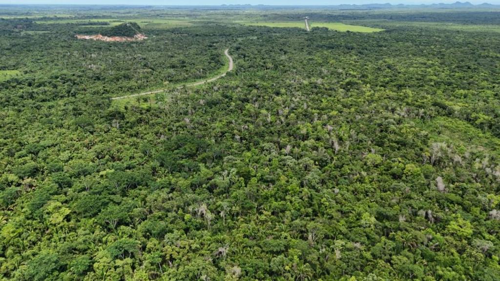 listing image with ID 66659