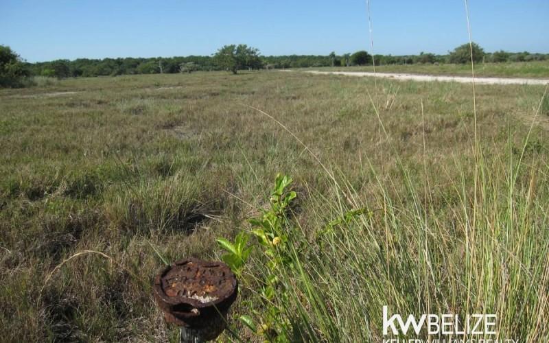 listing image with ID 69333