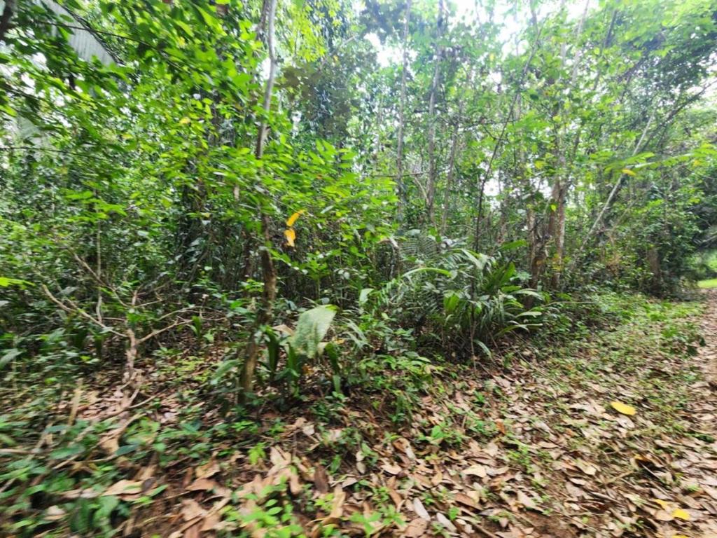 listing image with ID 64905