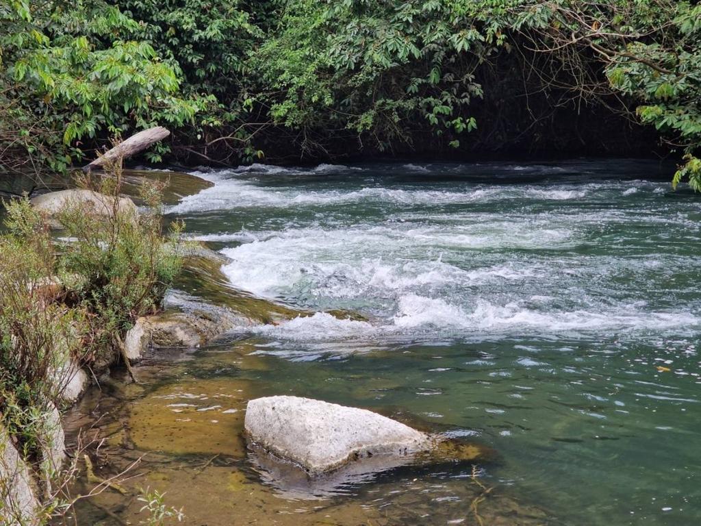 listing image with ID 66252