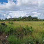 listing image thumbnail with ID 68245