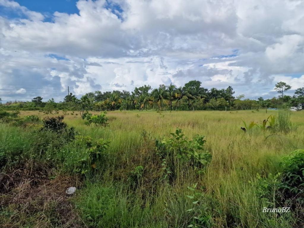 listing image with ID 68245