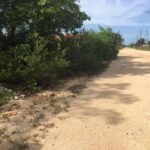 listing image thumbnail with ID 65920