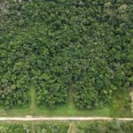 listing image thumbnail with ID 66561