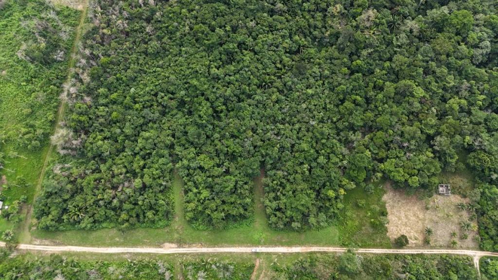 listing image with ID 66561