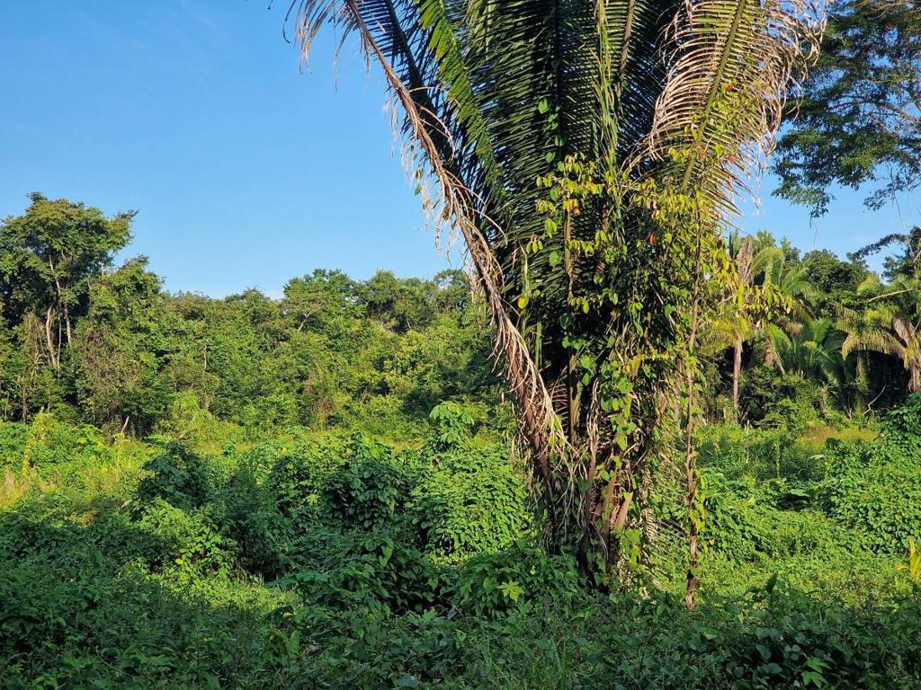 listing image with ID 64041