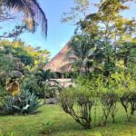 listing image thumbnail with ID 65540