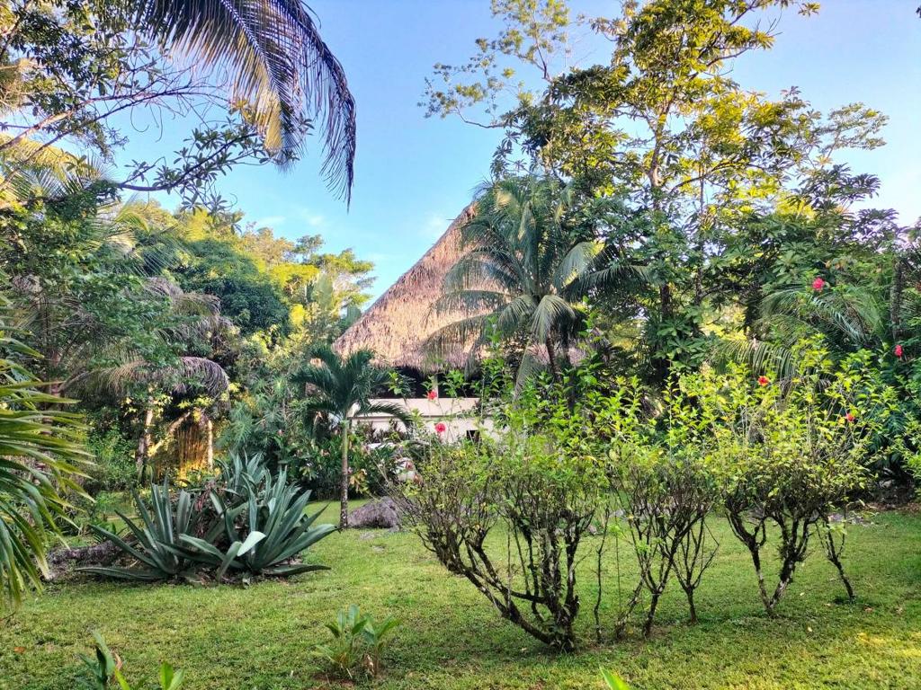 listing image with ID 65540