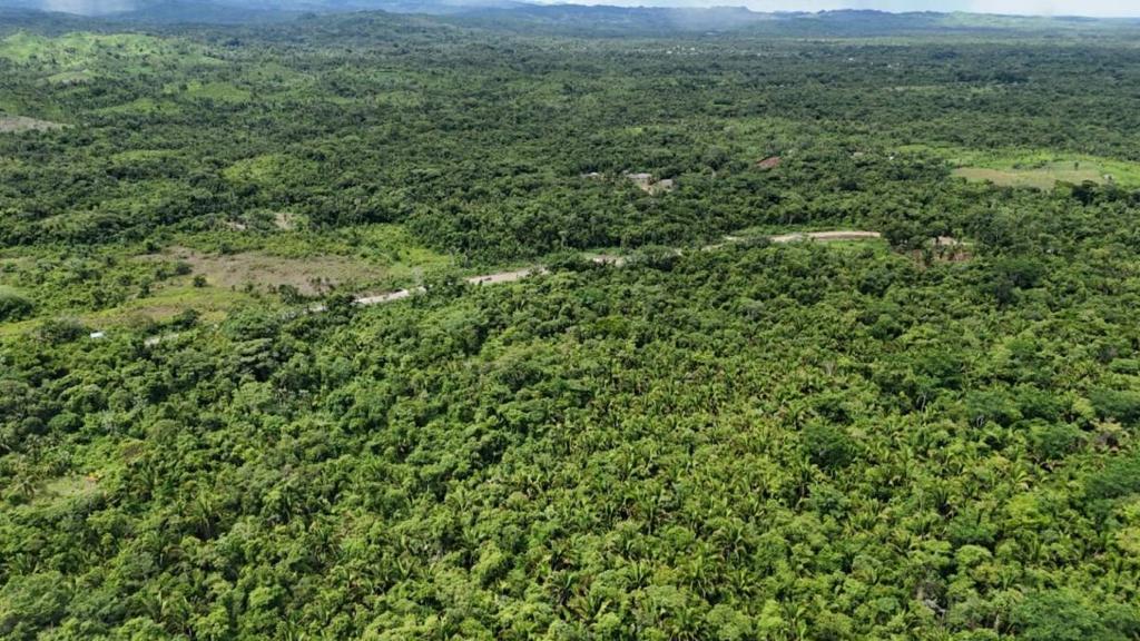 listing image with ID 67079