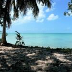 listing image thumbnail with ID 64512