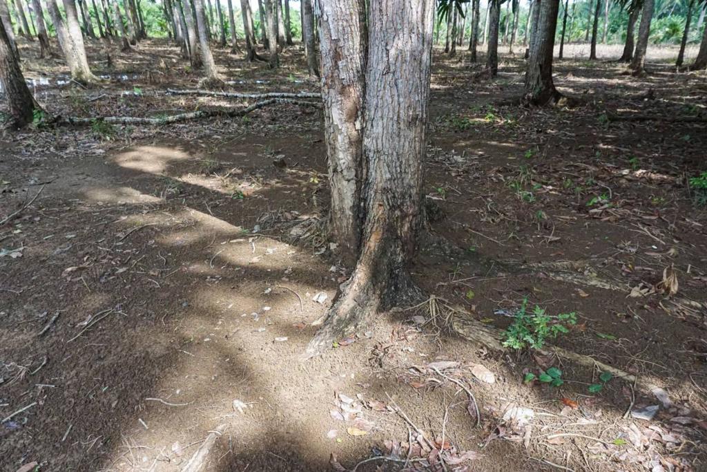 listing image with ID 67658