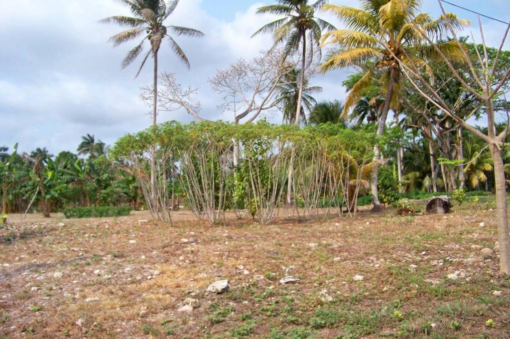 listing image with ID 67301