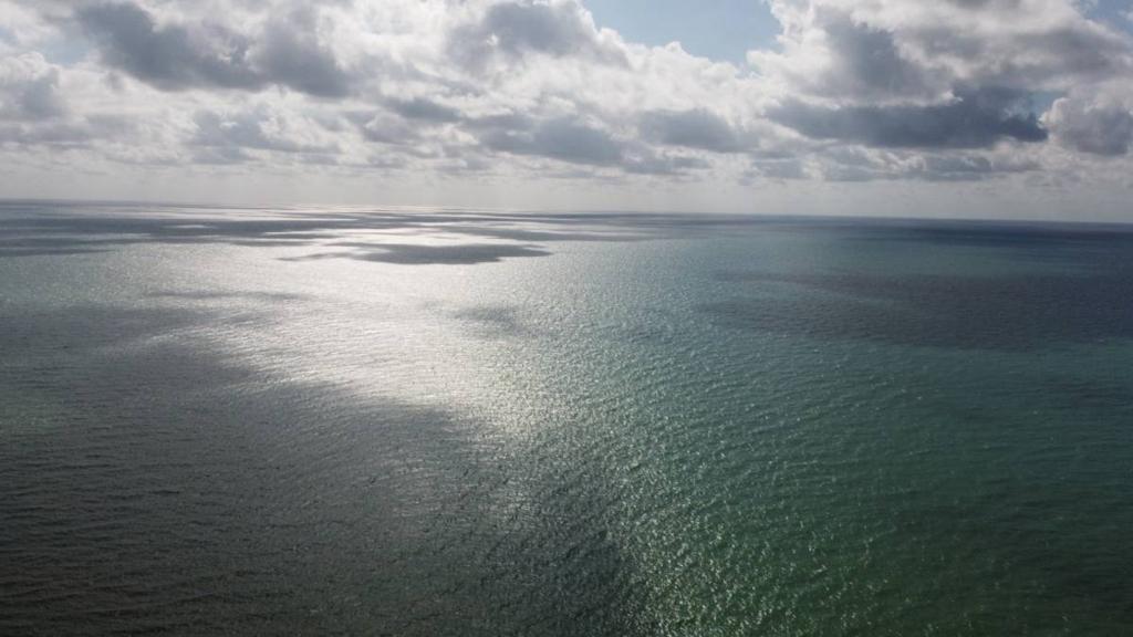 listing image with ID 63998