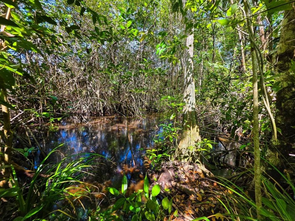 listing image with ID 63739