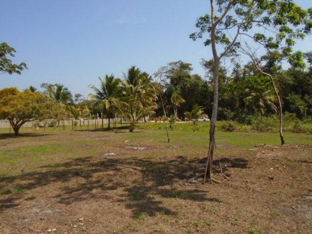 listing image with ID 64447