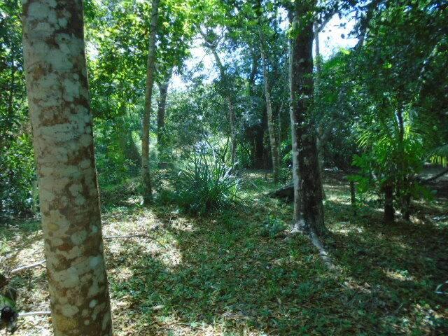 listing image with ID 64795