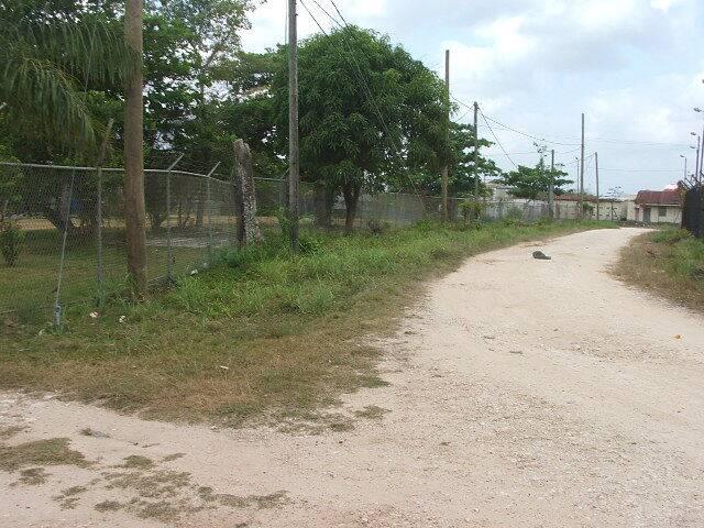 listing image with ID 68120