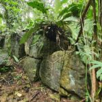 listing image thumbnail with ID 66261