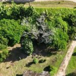 listing image thumbnail with ID 63892