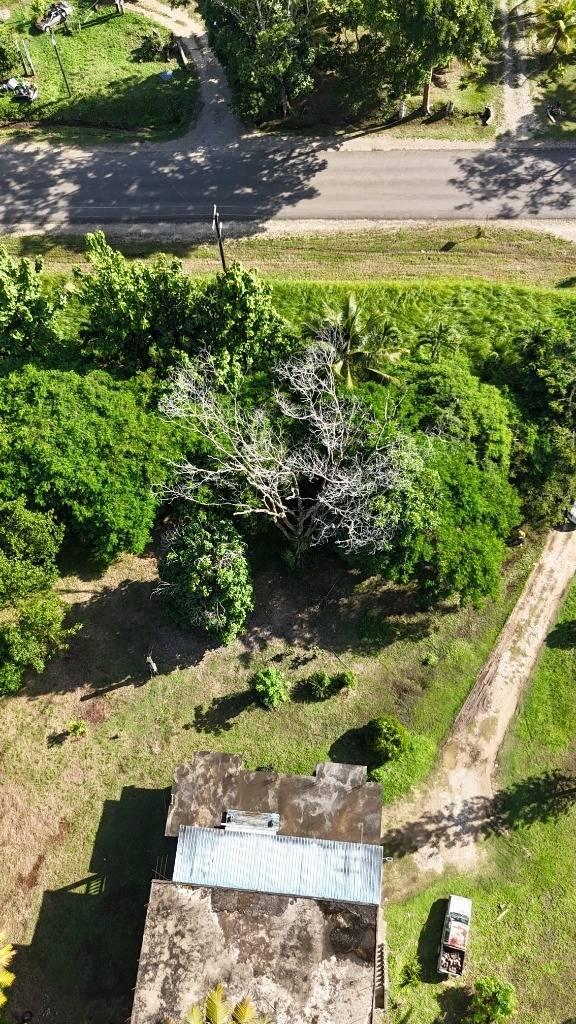 listing image with ID 63892