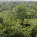 listing image thumbnail with ID 66282