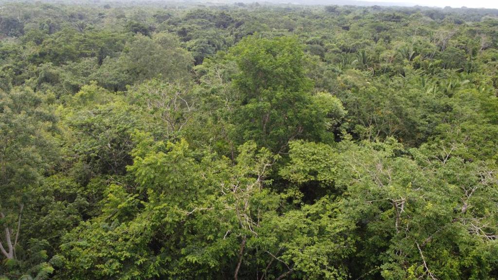 listing image with ID 66282