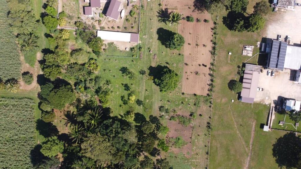 listing image with ID 64948