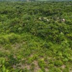 listing image thumbnail with ID 67096