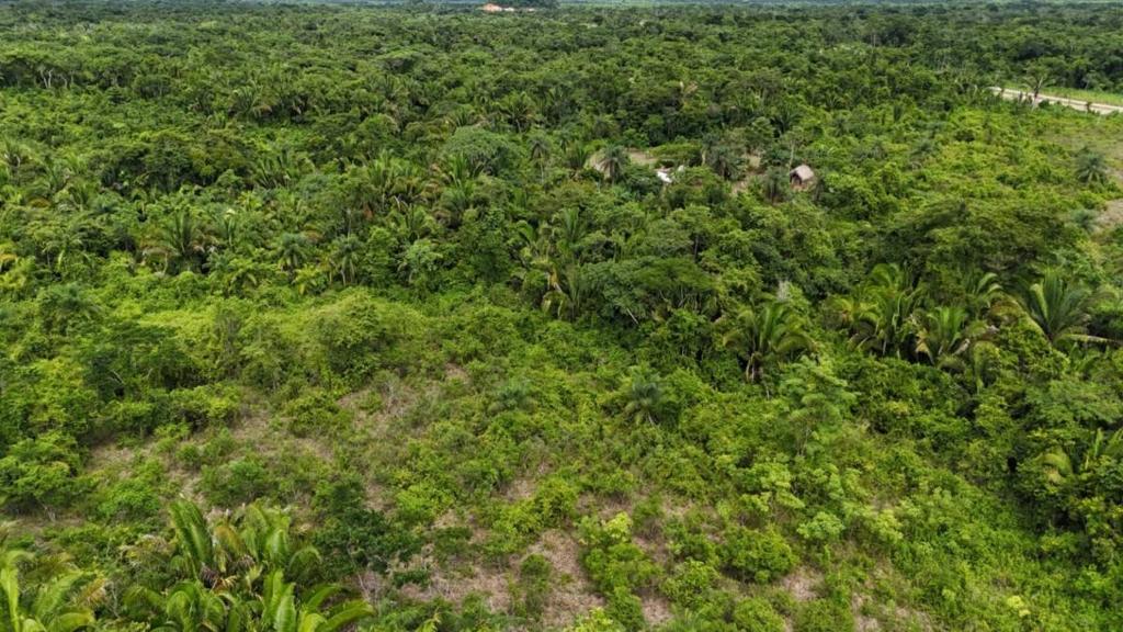 listing image with ID 67096