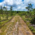 listing image thumbnail with ID 66087