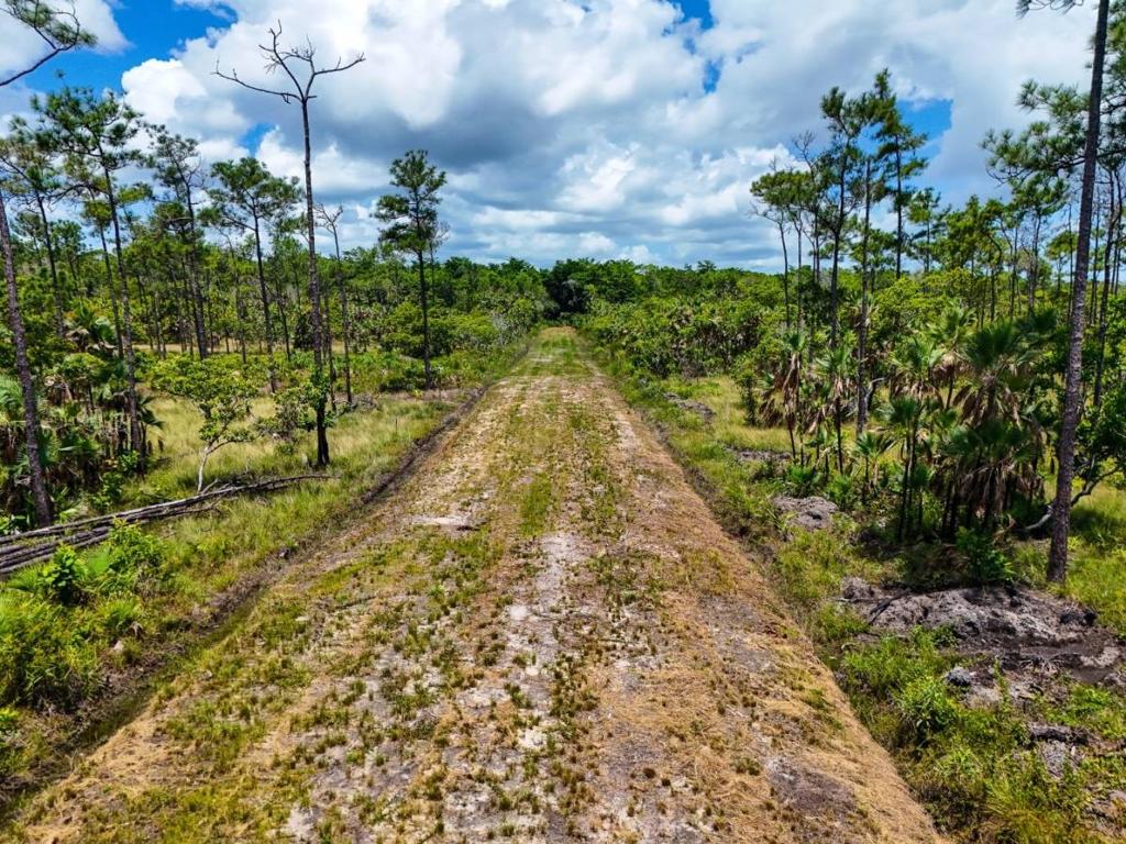 listing image with ID 66087