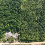 listing image thumbnail with ID 68075