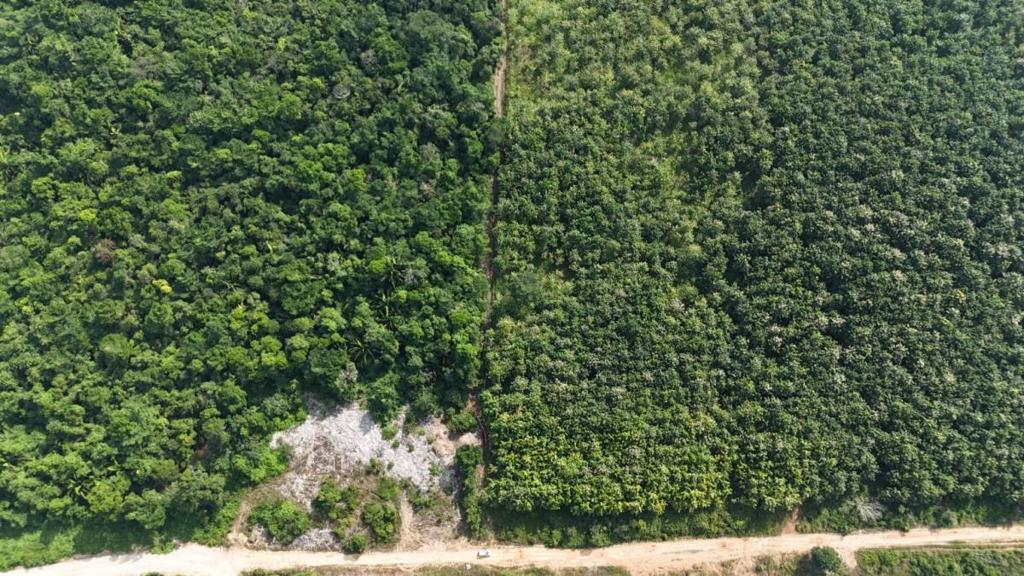 listing image with ID 68075