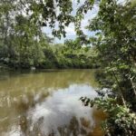 listing image thumbnail with ID 65609