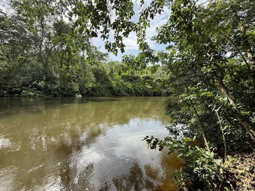 listing image with ID 65609