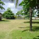 listing image thumbnail with ID 68118