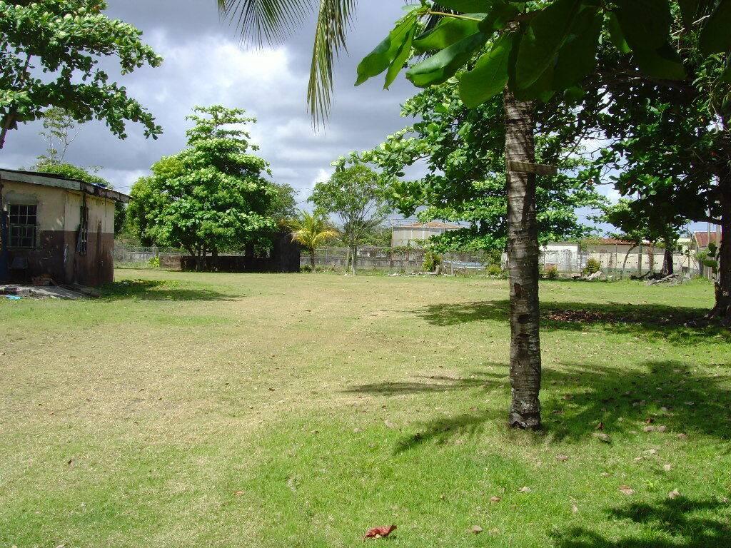 listing image with ID 68118