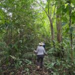 listing image thumbnail with ID 65459