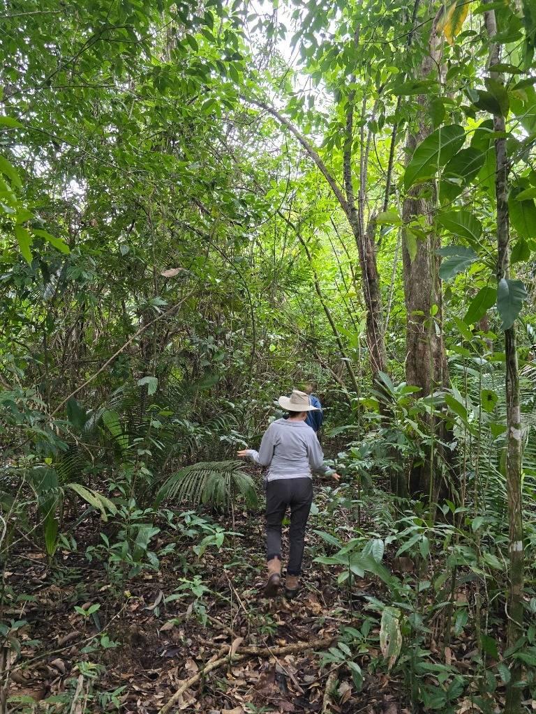 listing image with ID 65459