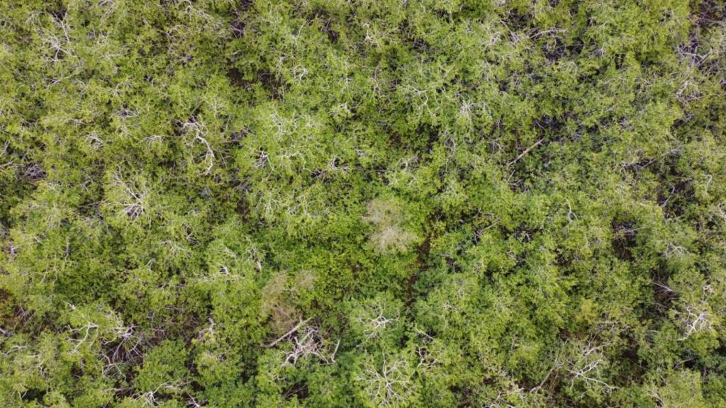 listing image with ID 64189