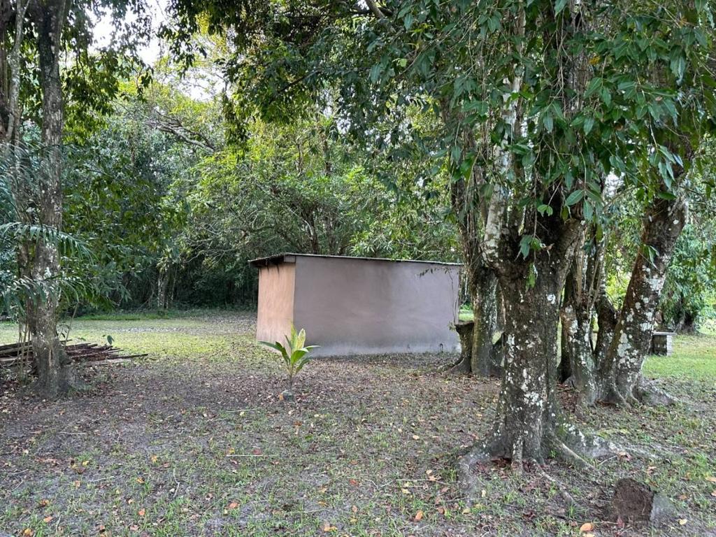 listing image with ID 63627