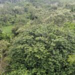 listing image thumbnail with ID 66278