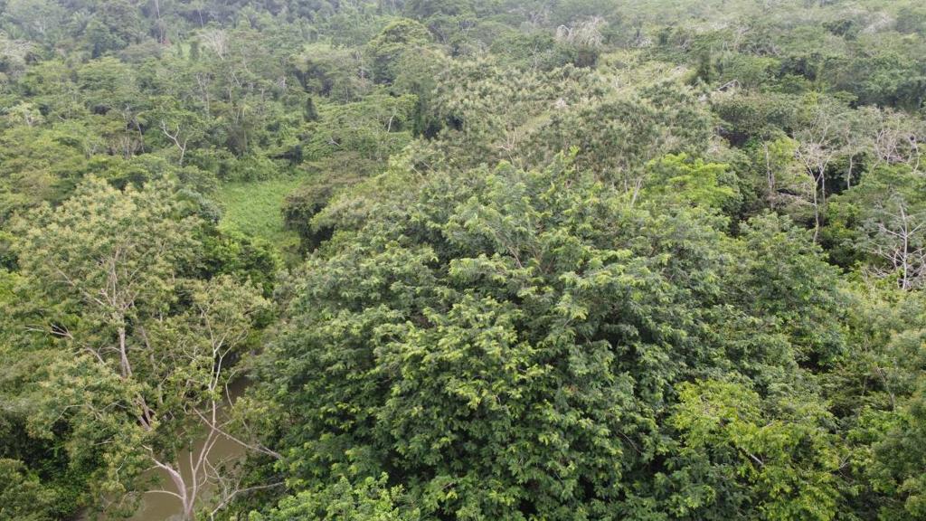 listing image with ID 66278