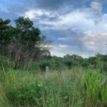 listing image thumbnail with ID 65029