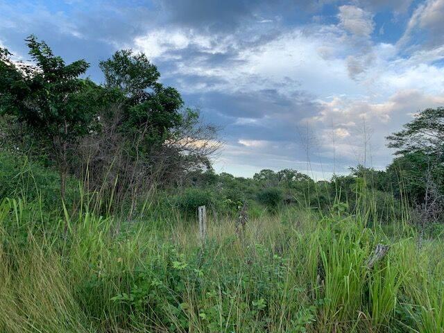 listing image with ID 65029