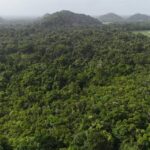 listing image thumbnail with ID 65407