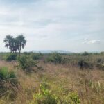 listing image thumbnail with ID 65183