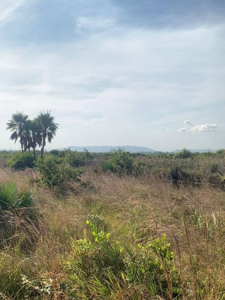 listing image with ID 65183