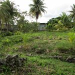 listing image thumbnail with ID 64160