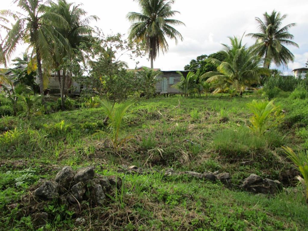 listing image with ID 64160